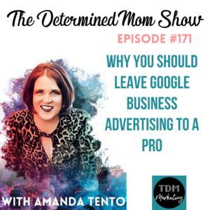 Why You Should Leave Google Business Advertising to a Pro