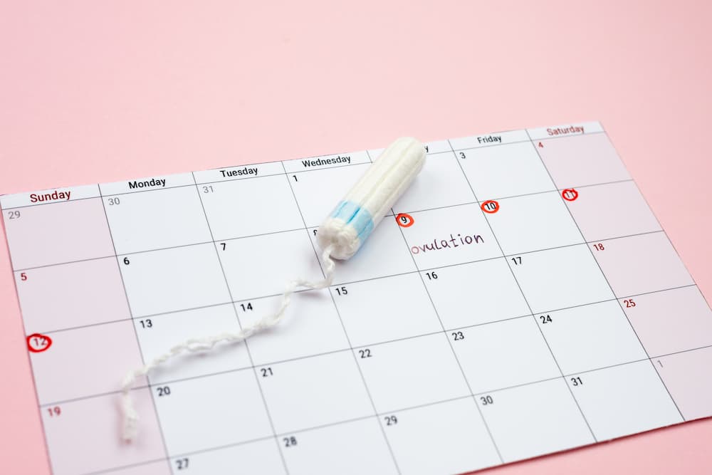 How to Use Your Menstrual Cycle to Be More Productive and Stop Fighting Yourself